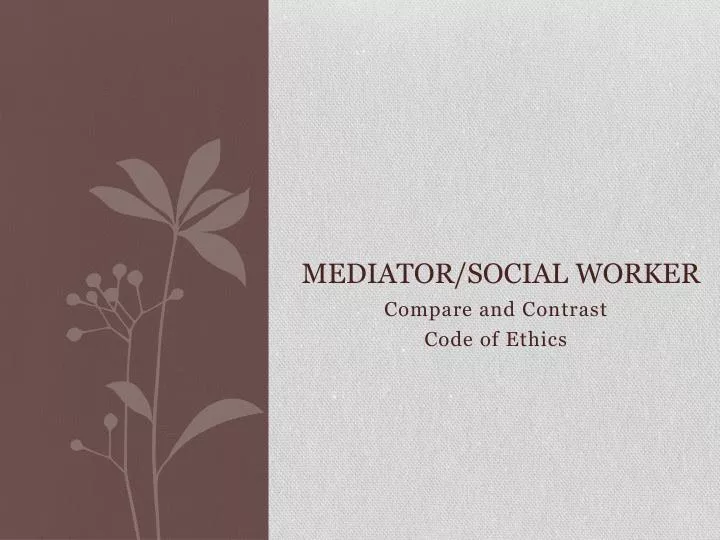 mediator social worker