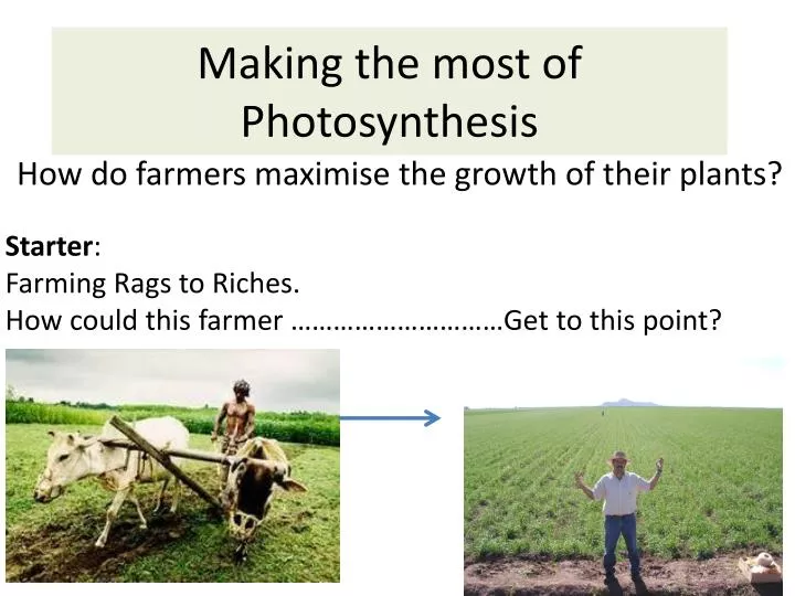 making the most of photosynthesis