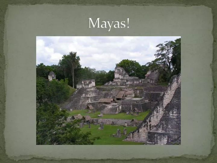 mayas