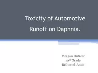Toxicity of Automotive Runoff on Daphnia.