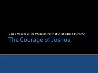 The Courage of Joshua
