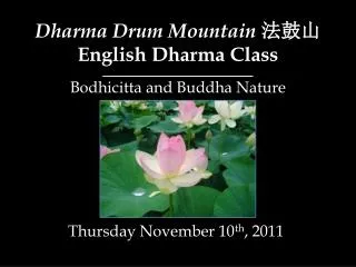 Dharma Drum Mountain ??? English Dharma Class