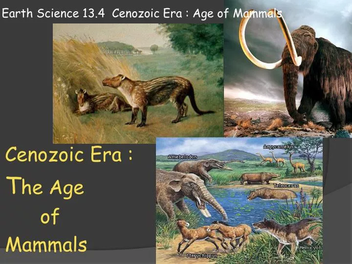 earth science 13 4 cenozoic era age of mammals