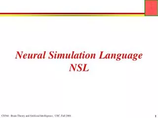 Neural Simulation Language NSL