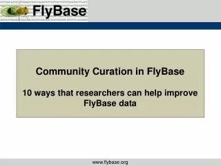 Community Curation in FlyBase 10 ways that researchers can help improve FlyBase data