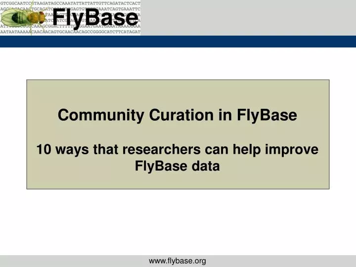 community curation in flybase 10 ways that researchers can help improve flybase data