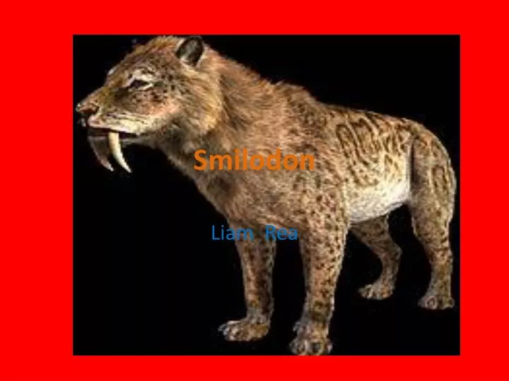 smilodon