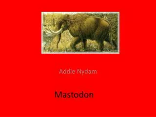 Mastodon