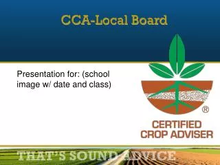 CCA-Local Board