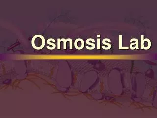 Osmosis Lab