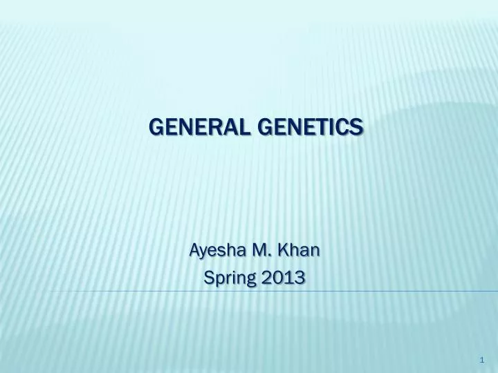 ayesha m khan spring 2013