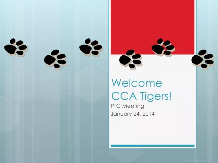 welcome cca tigers