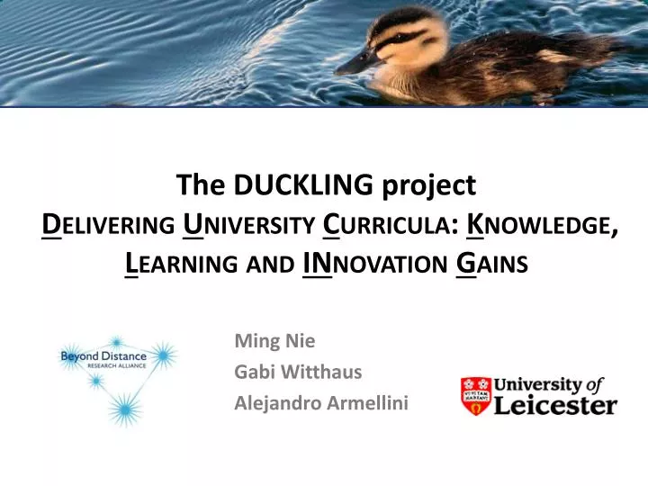 the duckling project d elivering u niversity c urricula k nowledge l earning and in novation g ains