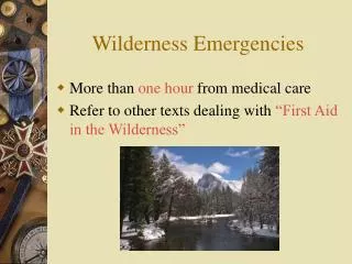 Wilderness Emergencies