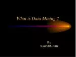 What is Data Mining ?