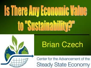 Is There Any Economic Value to &quot;Sustainability?&quot;