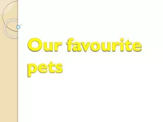 Our favourite pets