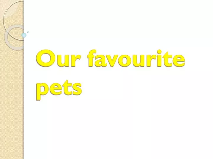 our favourite pets