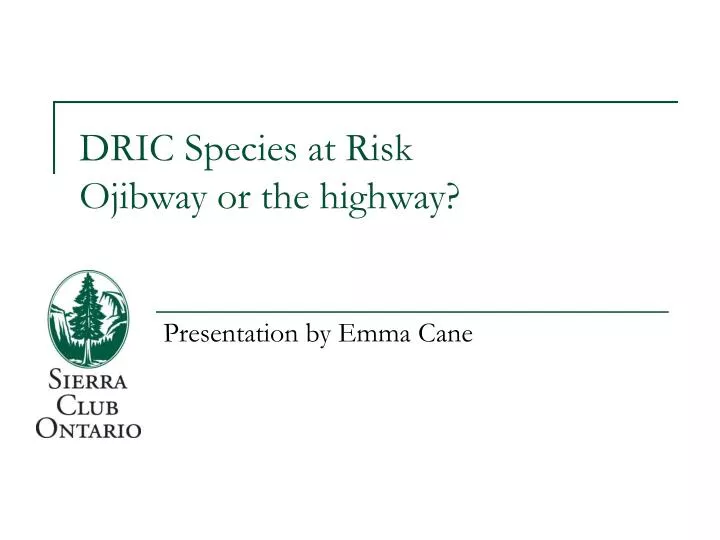 dric species at risk ojibway or the highway