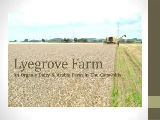 Lyegrove Farm An Organic Dairy &amp; Arable Farm In The Cotswolds