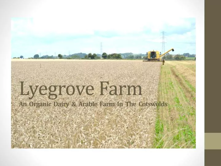 lyegrove farm an organic dairy arable farm in the cotswolds