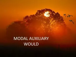 MODAL AUXILIARY WOULD