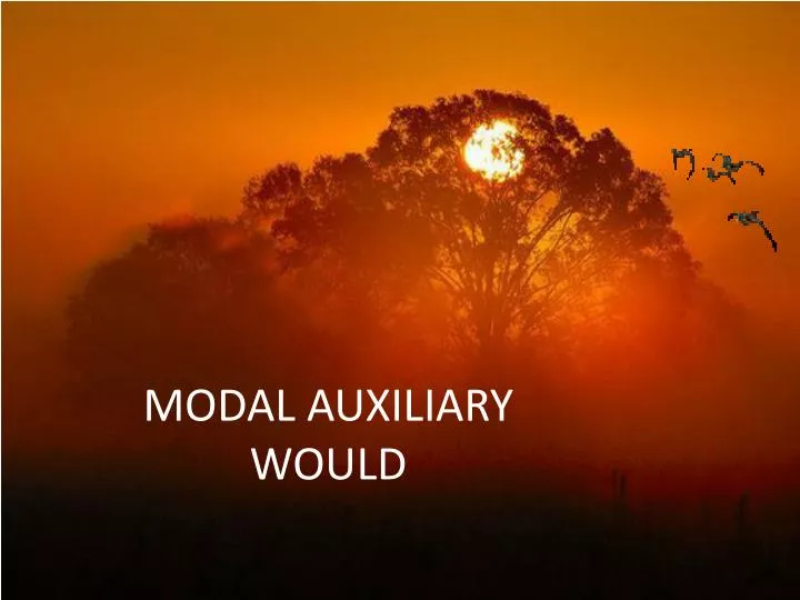 modal auxiliary would
