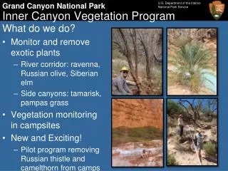 Inner Canyon Vegetation Program