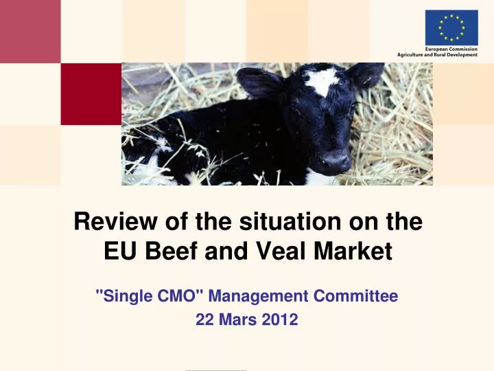 review of the situation on the eu beef and veal market