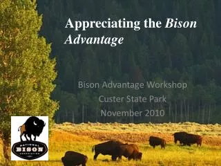 Appreciating the Bison Advantage