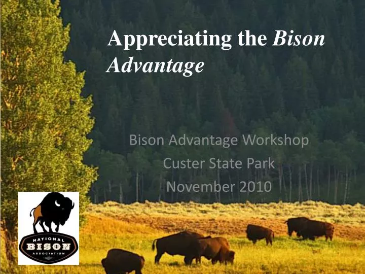 appreciating the bison advantage