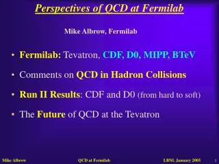 Perspectives of QCD at Fermilab