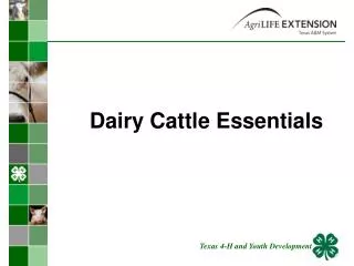 Dairy Cattle Essentials