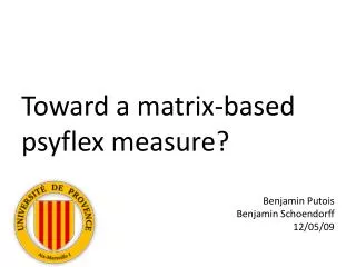 Toward a matrix-based psyflex measure ?
