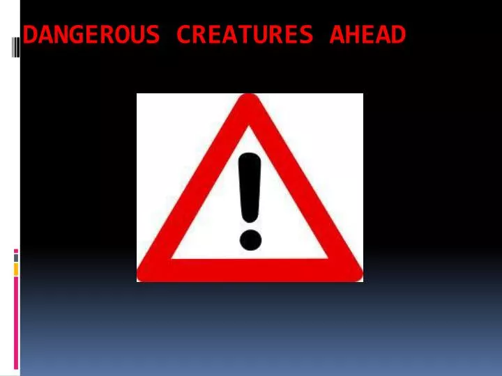 dangerous creatures ahead
