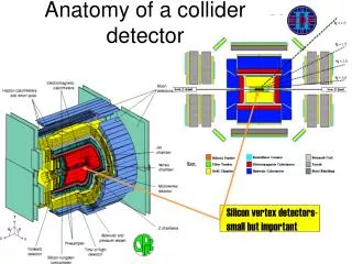 Anatomy of a collider detector