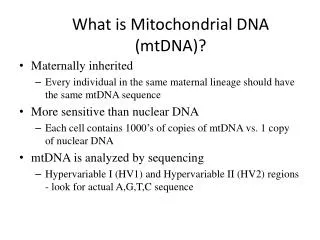 What is Mitochondrial DNA (mtDNA)?