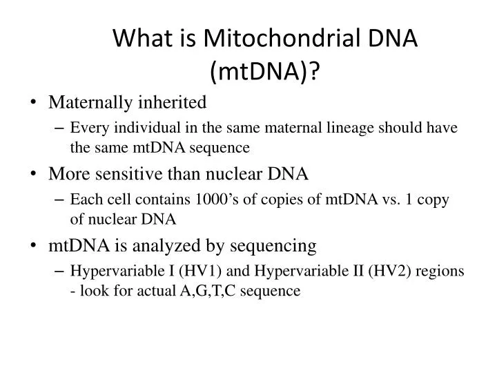 what is mitochondrial dna mtdna