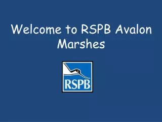 Welcome to RSPB Avalon Marshes