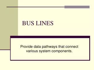 BUS LINES