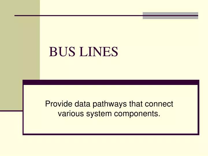 bus lines