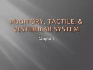 Auditory, tactile, &amp; Vestibular system