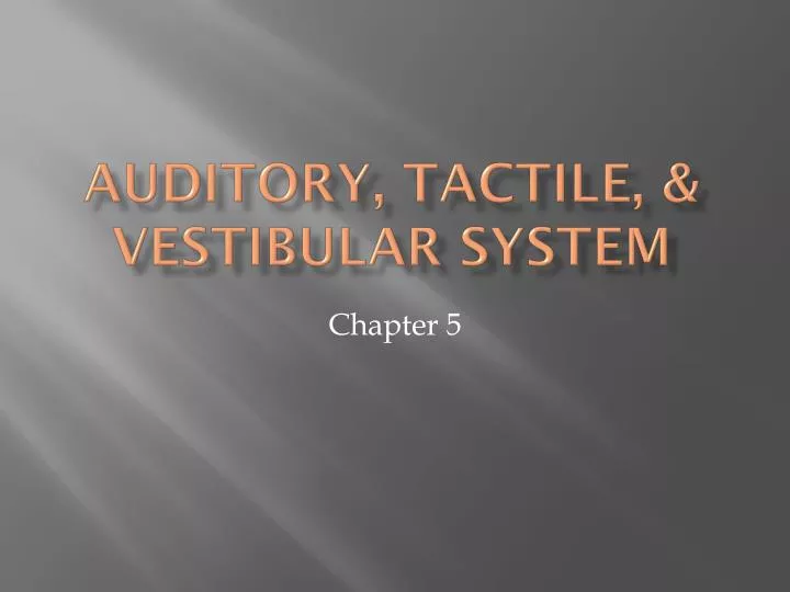 auditory tactile vestibular system