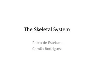 the skeletal system