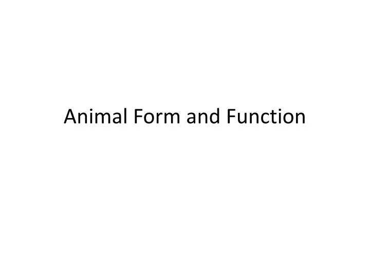 animal form and function