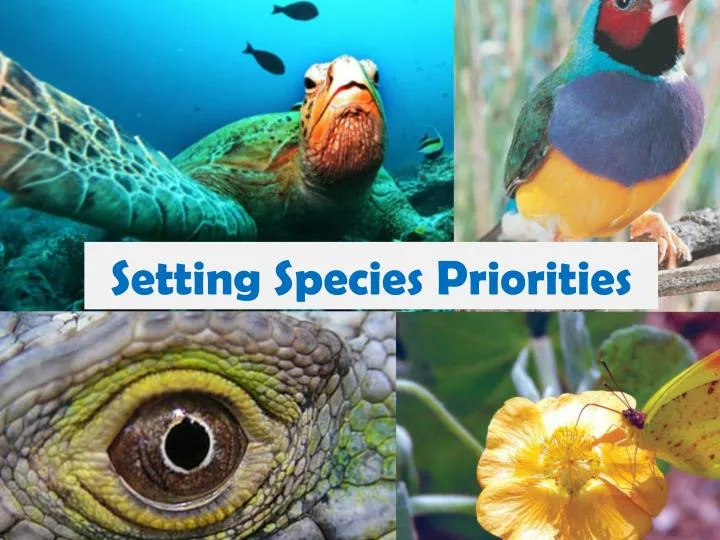 setting species priorities