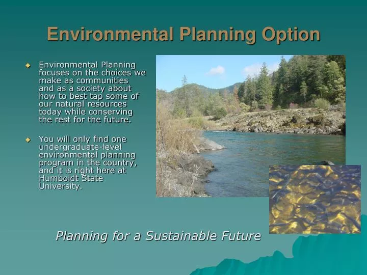 environmental planning option