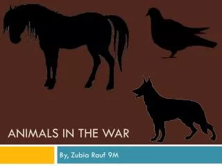 Animals in the war