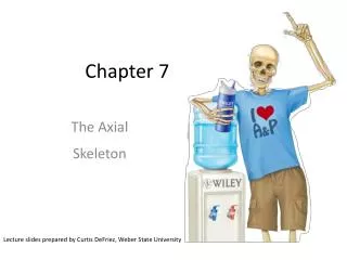 Chapter 7