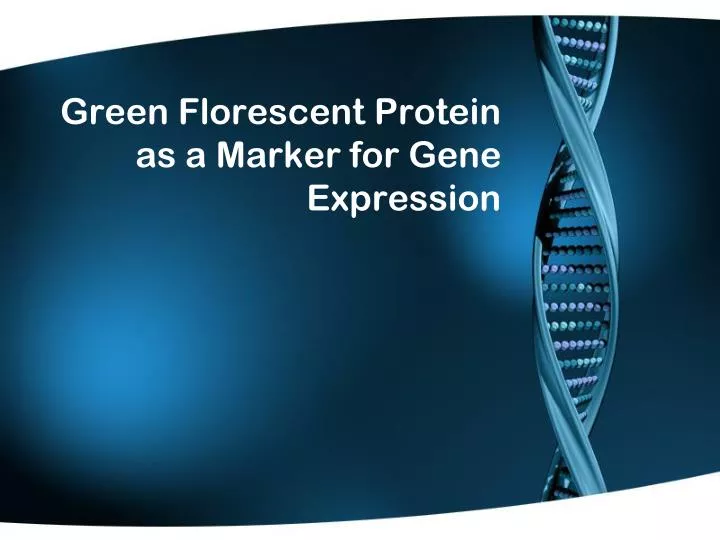 green florescent protein as a marker for gene expression